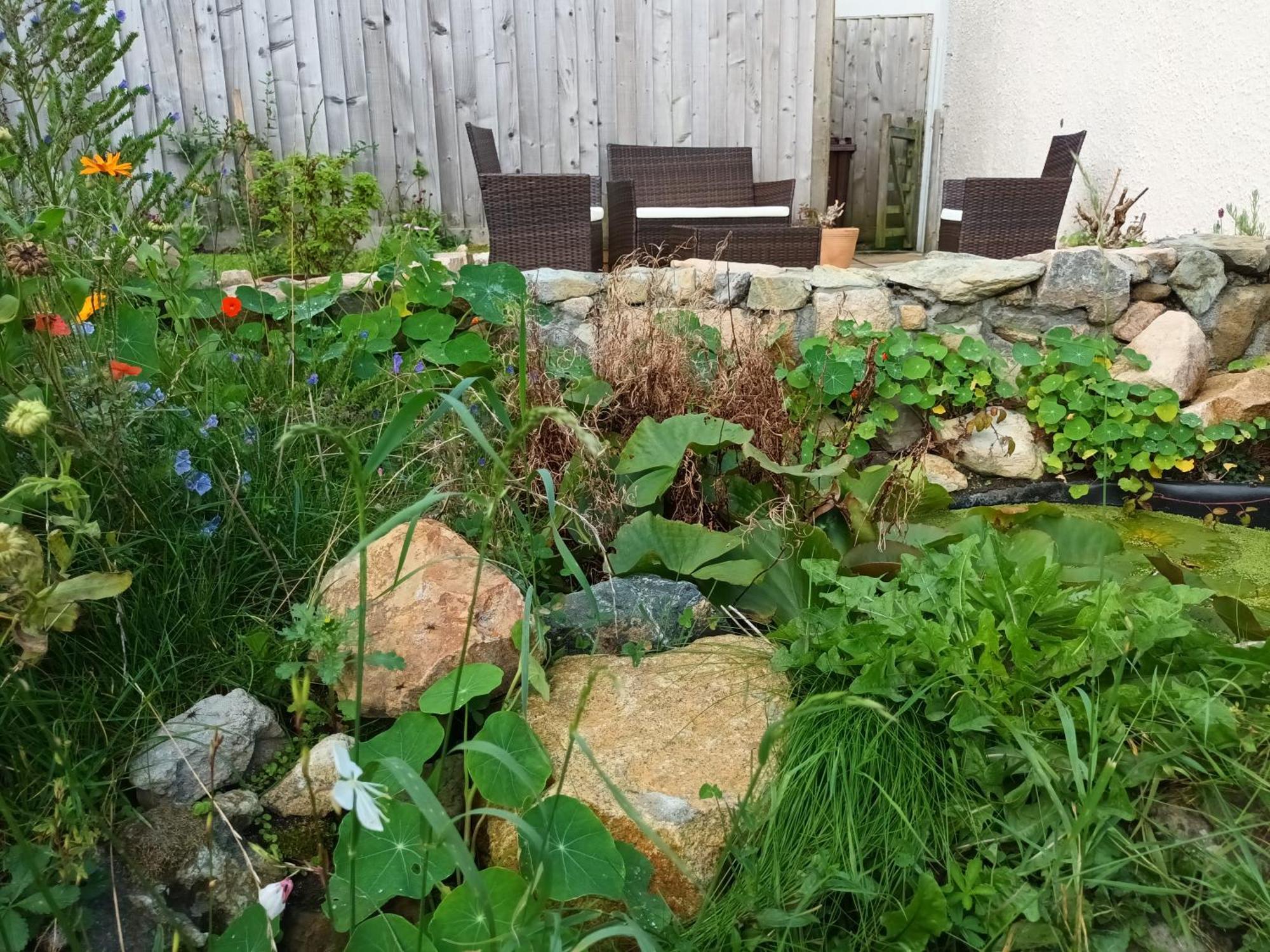 Sunrise! ~ 2 Bedrooms, Garden, Parking, Sea Views St Ives Extérieur photo